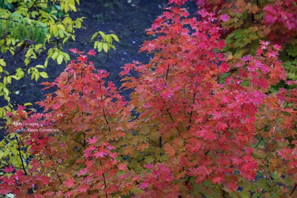 Nopțile se răcesc. Temperaturile blânde de zi se mențin