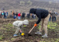 Guvernul a plantat 110 mii de puieți în cadrul campaniei „Generația pădurii”