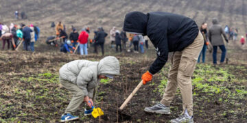 Guvernul a plantat 110 mii de puieți în cadrul campaniei „Generația pădurii”