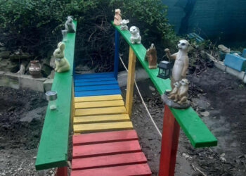 Un colț de culoare într-o curte din Ungheni: un pod decorativ a atras atenția trecătorilor