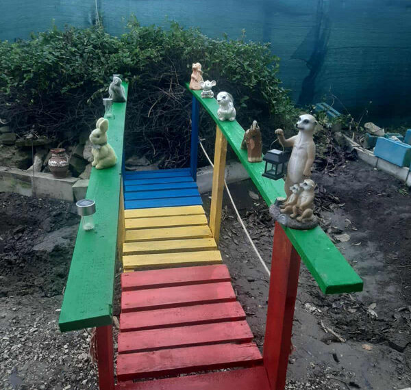 Un colț de culoare într-o curte din Ungheni: un pod decorativ a atras atenția trecătorilor