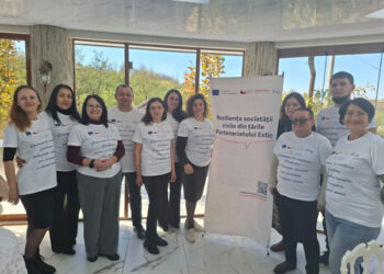 Conexiuni la înălțime –  când parteneriatele  dau voce comunităților