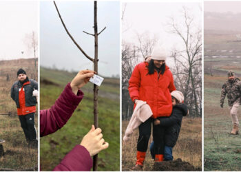 La pista de motocros din Ungheni au fost plantați 100 de arbori