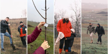 La pista de motocros din Ungheni  au fost plantați 100 de arbori