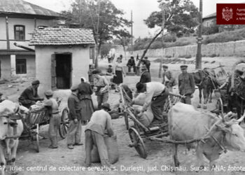 O lecție cât o viață