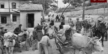 O lecție cât o viață