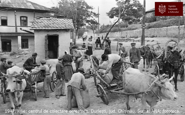 O lecție cât o viață